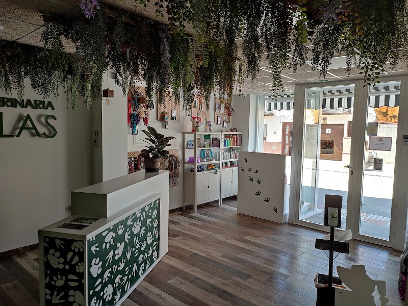 Centro Veterinario Huellas