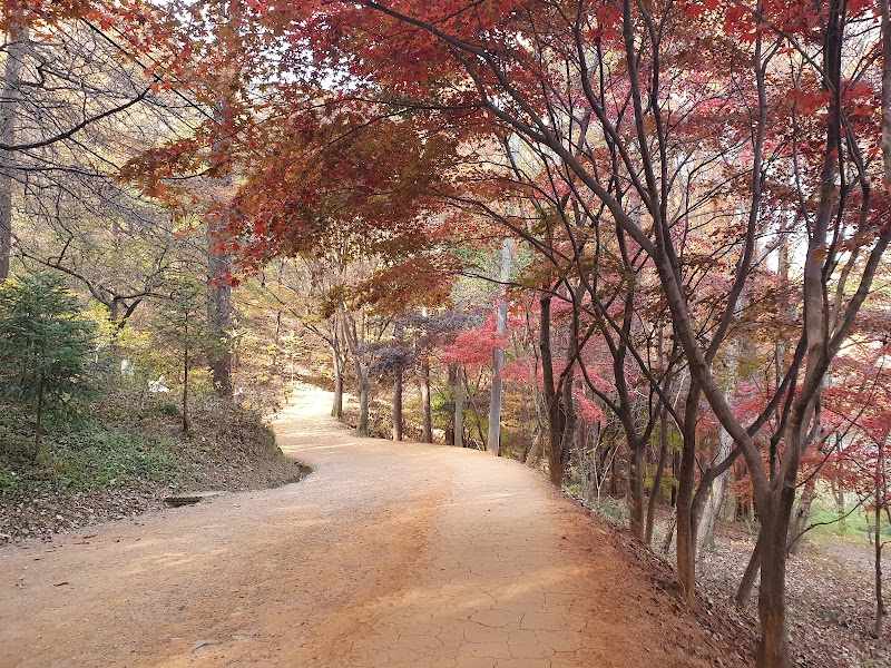계족산황톳길 사진 5