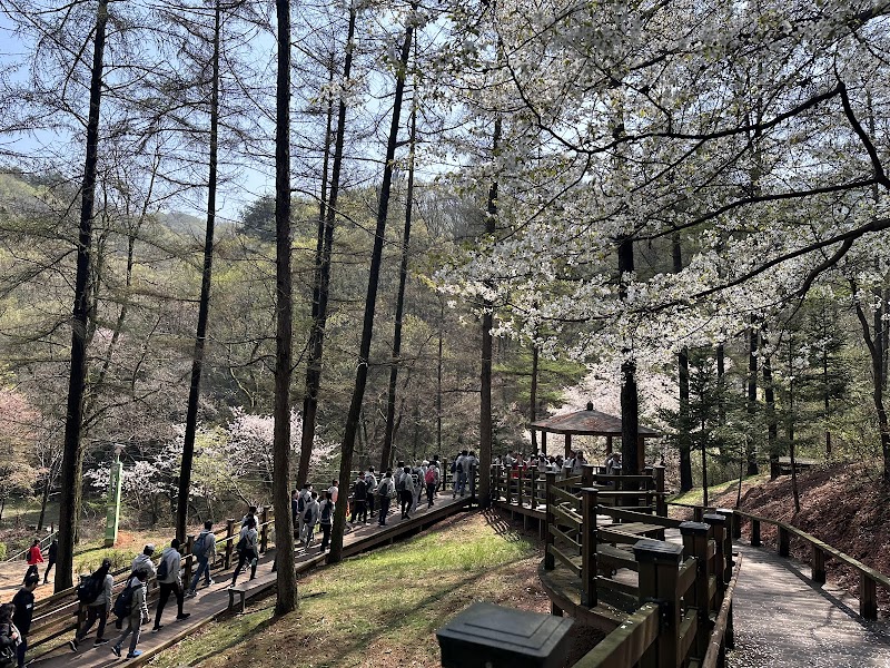 계족산황톳길 사진 2