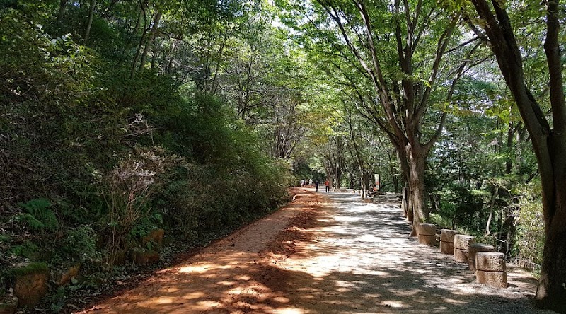 계족산황톳길 사진 6