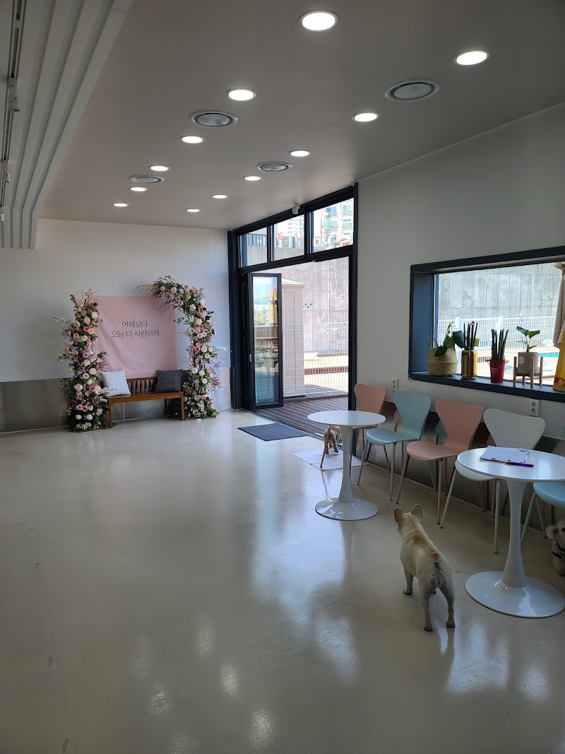 멍클라쓰 사진 5
