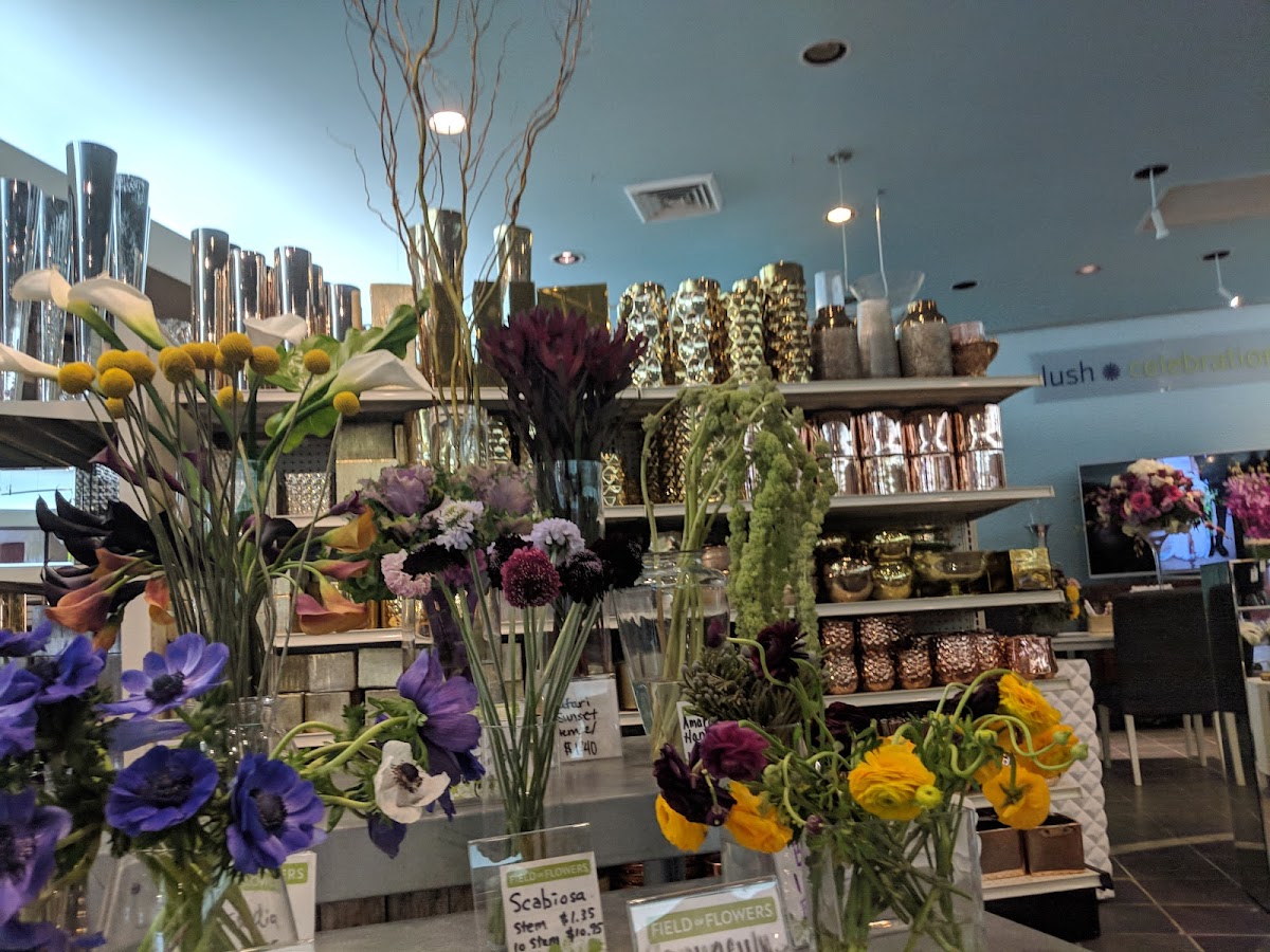 Field of Flowers: Google Places image 3