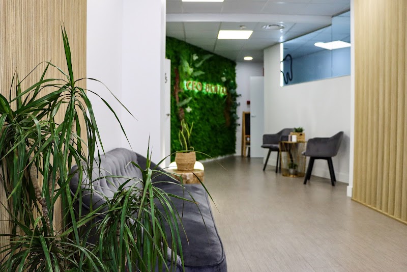 Ceo Dental las Rozas