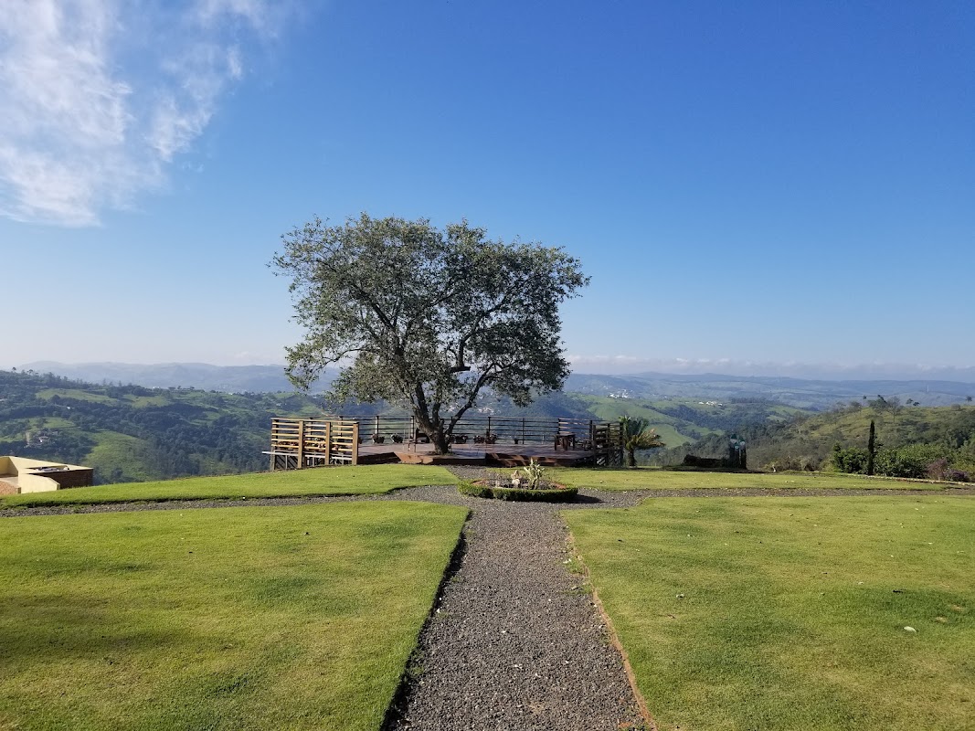 Vinícola Terrassos