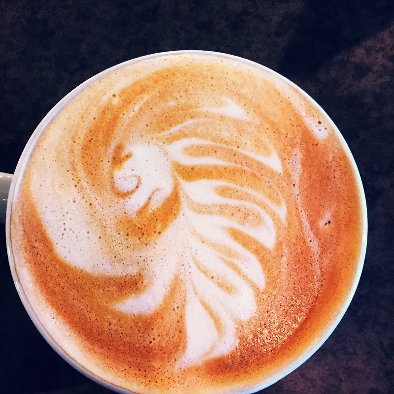 Dr. Java's Coffee House photo 2