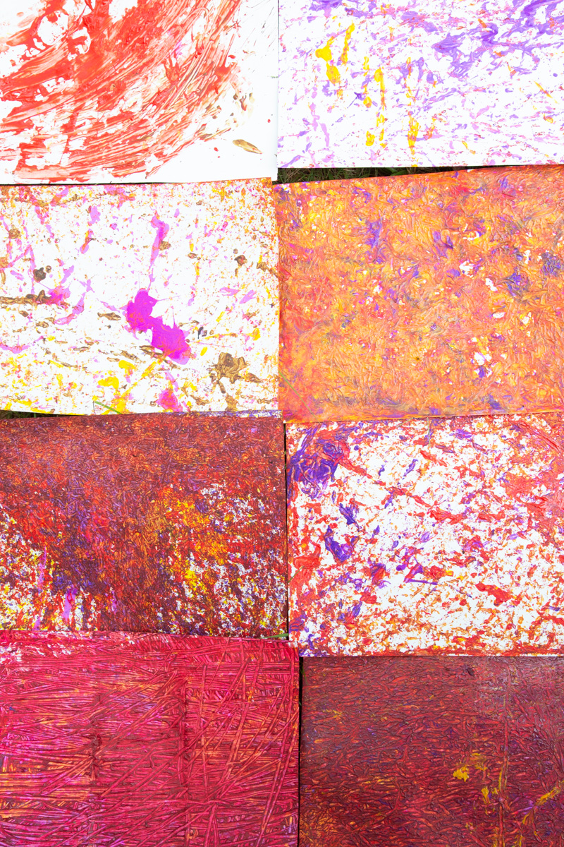 CAATINGA! studio photo 5