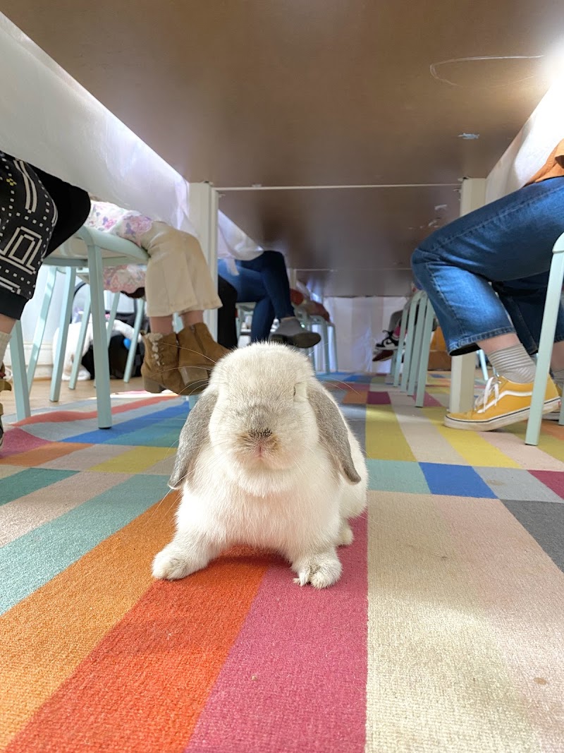 CAATINGA! studio photo 8