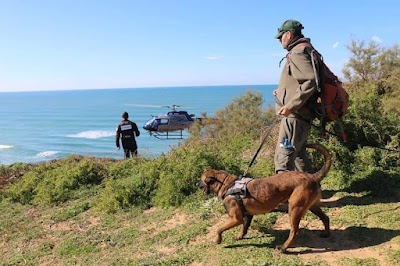 Israel Dog Unit - יחידת הכלבנים לישראל