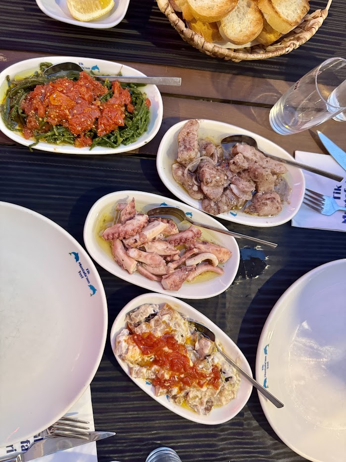 Tik Mustafa's Place