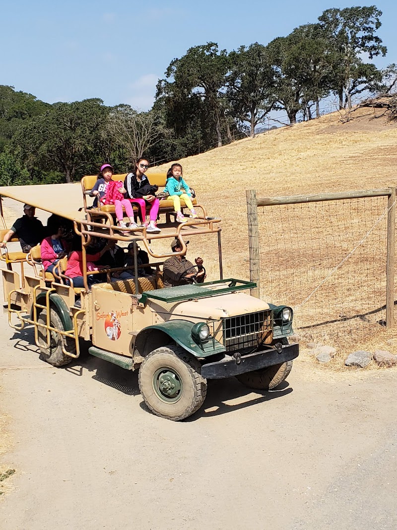 Immersive guided jeep tours