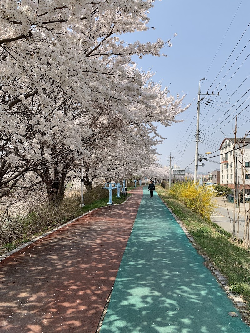 조천변벚꽃길 반려동물 동반 여행지
