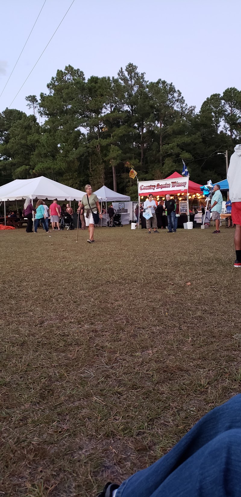 Sneads Ferry Shrimp Festival