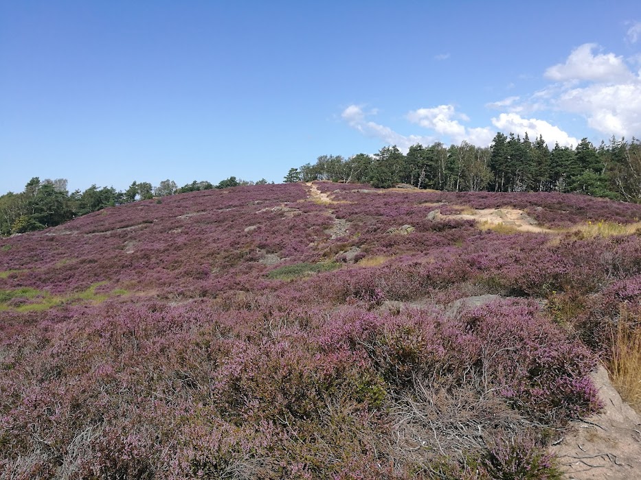 Änggård Mountains fotoğraf 1