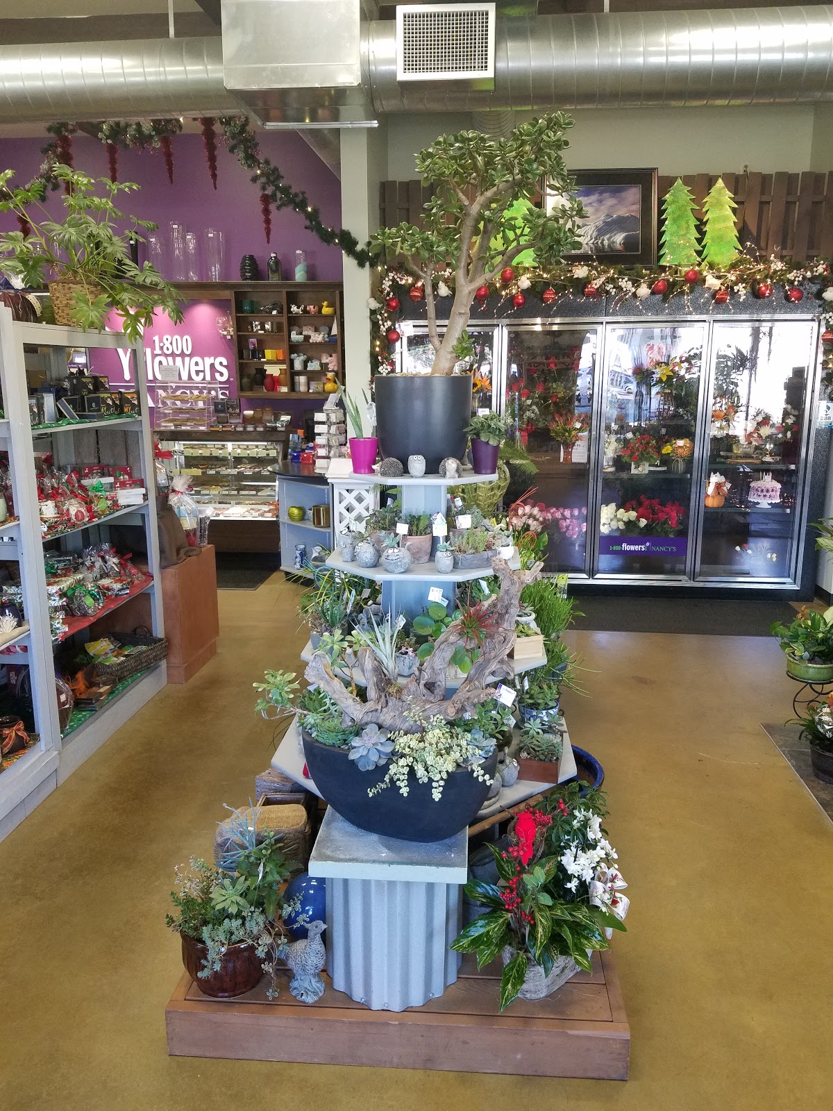 Nancy's Floral, Inc.: Google Places image 5