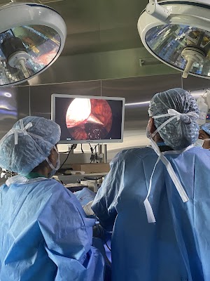 Dr Amina Naushad_gynaecologist - Image 2