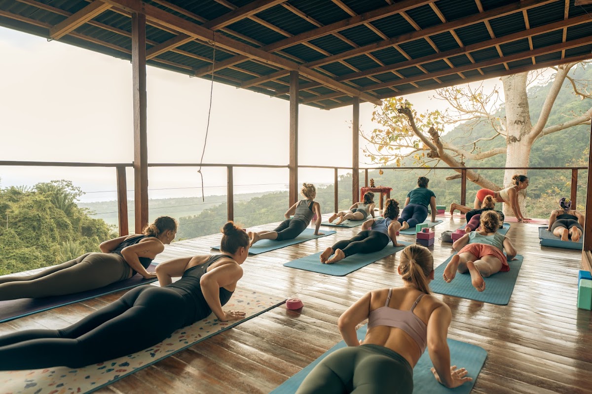 Ahimsa Yoga School — 3