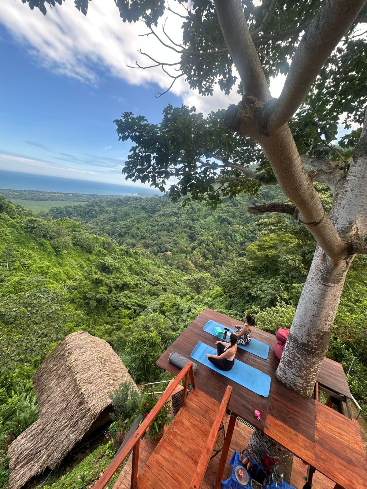 Ahimsa Yoga School — 4