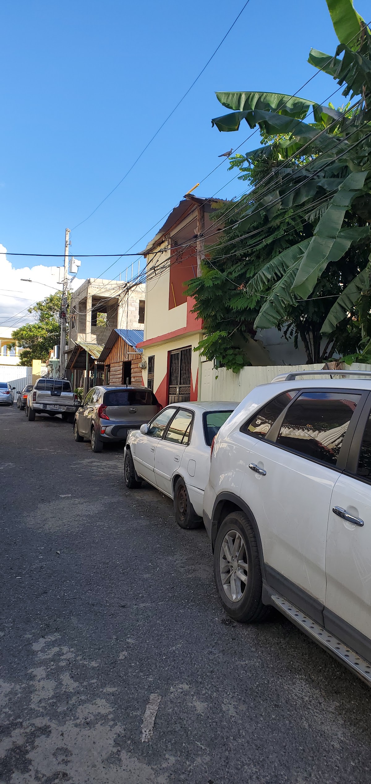 YareN - Imagen 2