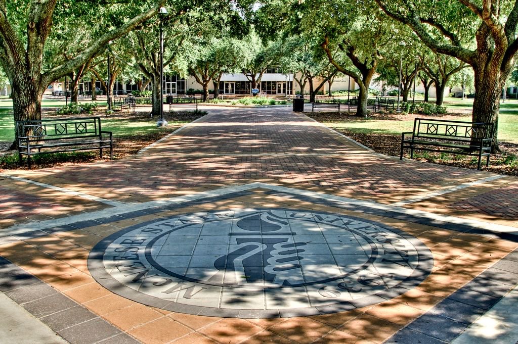 マクニーズ州立大学（McNeese State University）（Lake Charles、ルイジアナ州）