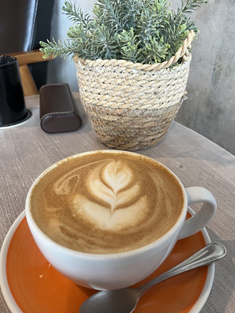 Paragon Coffeehouse photo 4