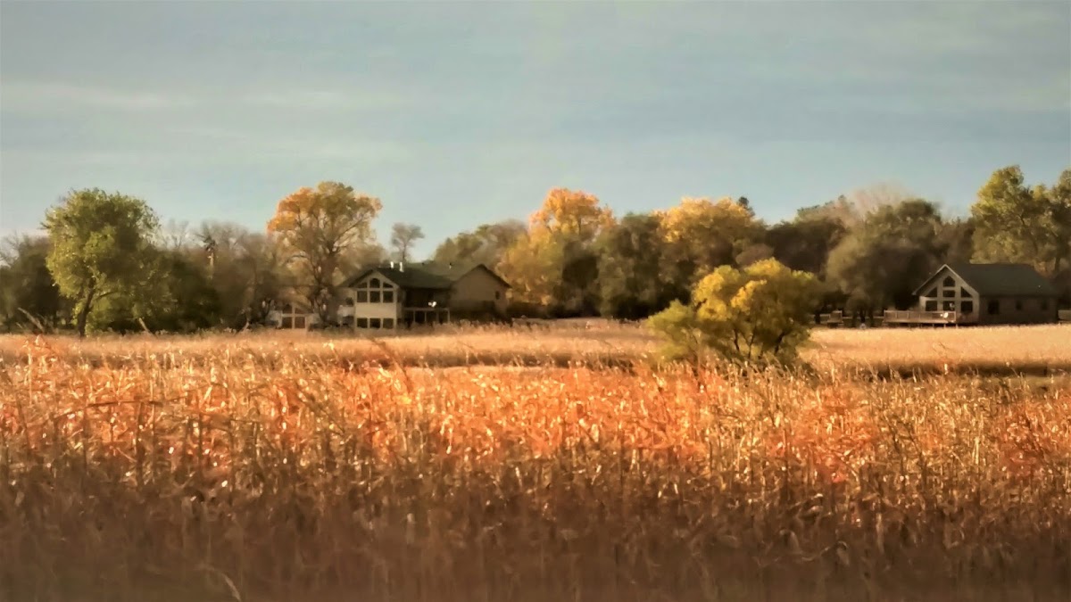 Double P Ranch