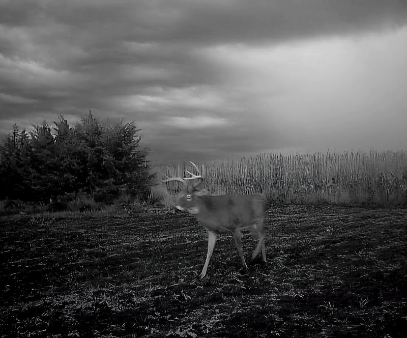 Double P Ranch - Photo 4