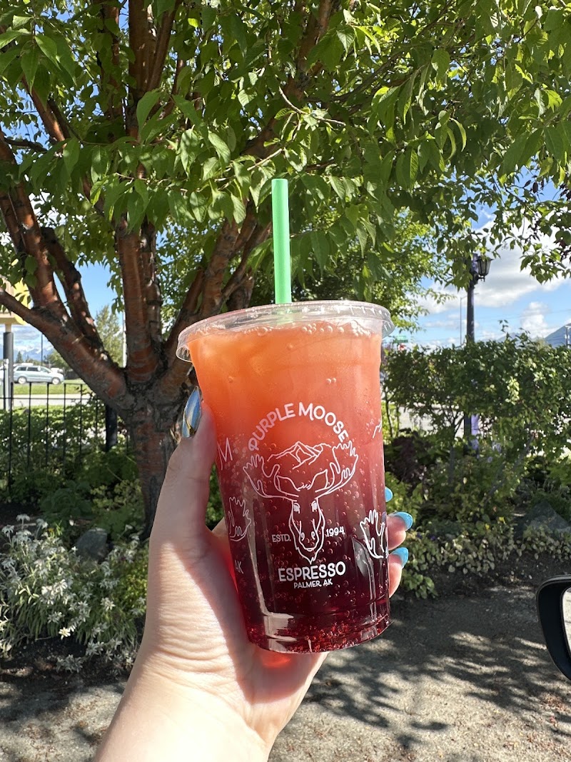 Purple Moose Espresso photo 1