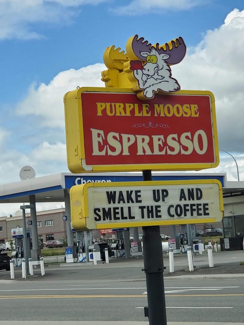 Purple Moose Espresso photo 4