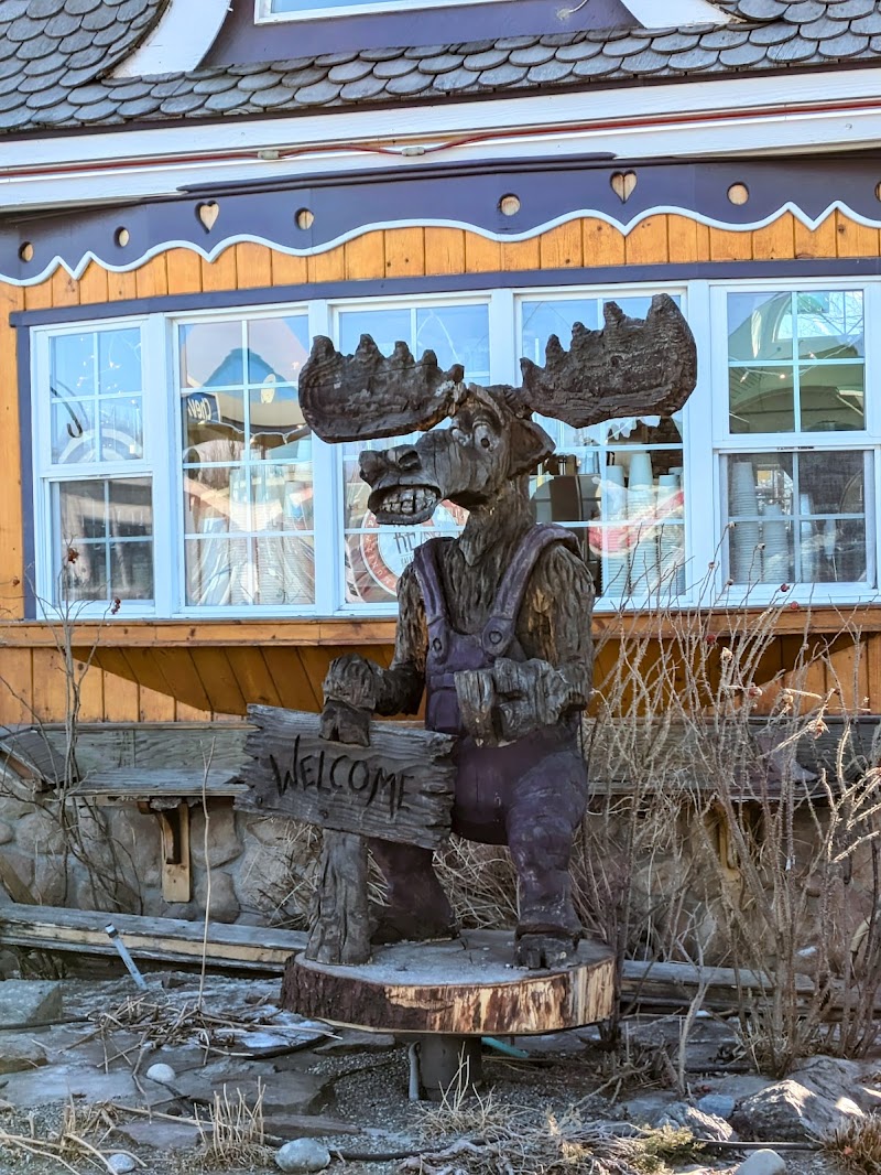 Purple Moose Espresso photo 4