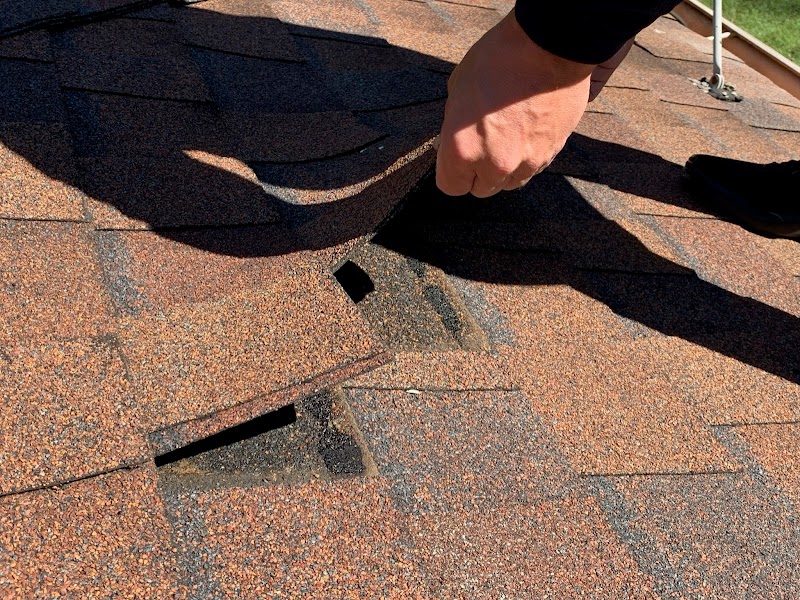 Mighty Dog Roofing of Downtown Denver photo 2