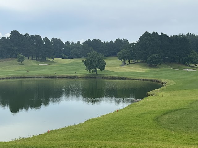 Lejas Crest Golf Club Royal - Photo 2