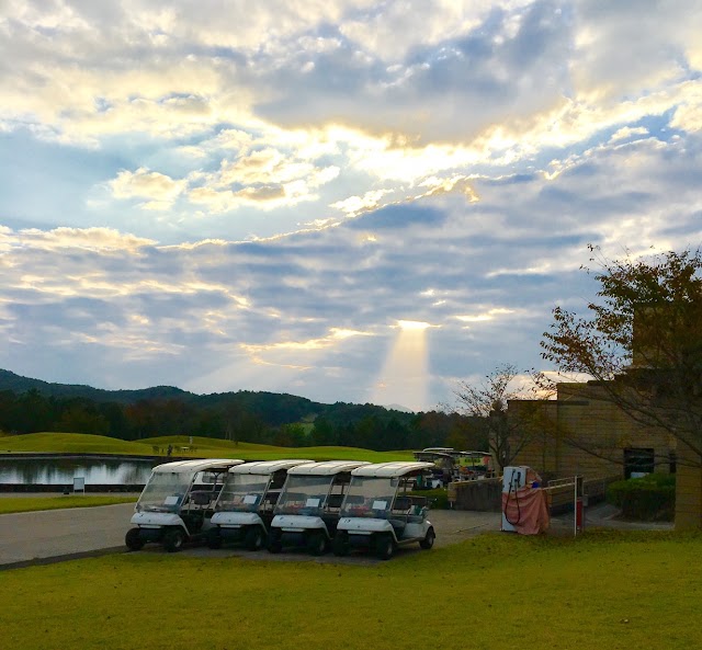 Lejas Crest Golf Club Royal - Photo 5
