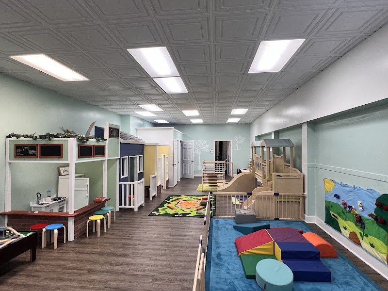 Bug & Bear Play Cafe photo 2