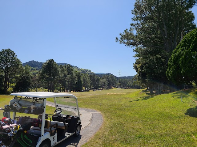 Prince Golf Club - Photo 8