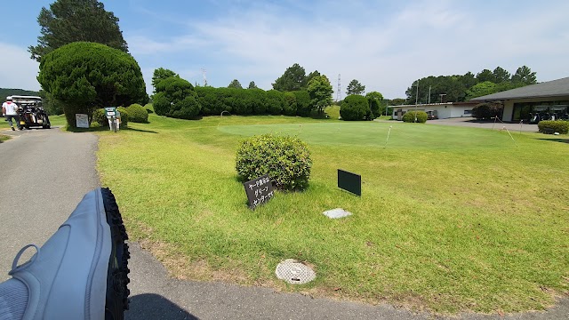 Prince Golf Club - Photo 9