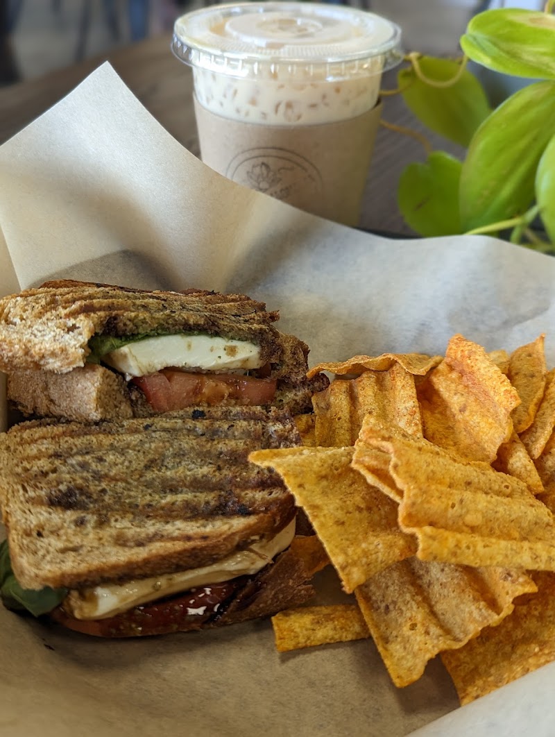 Sugar Magnolia Coffeehouse photo 4