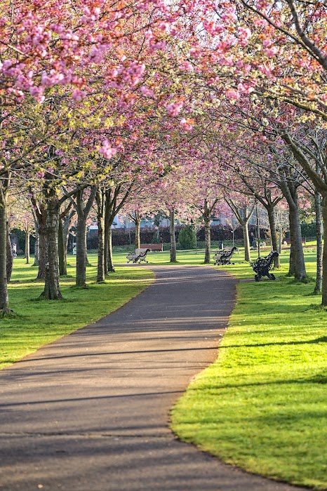 Herbert Park fotoğraf 1