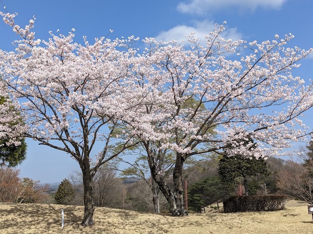 Kibouoka Country Club - Photo 10