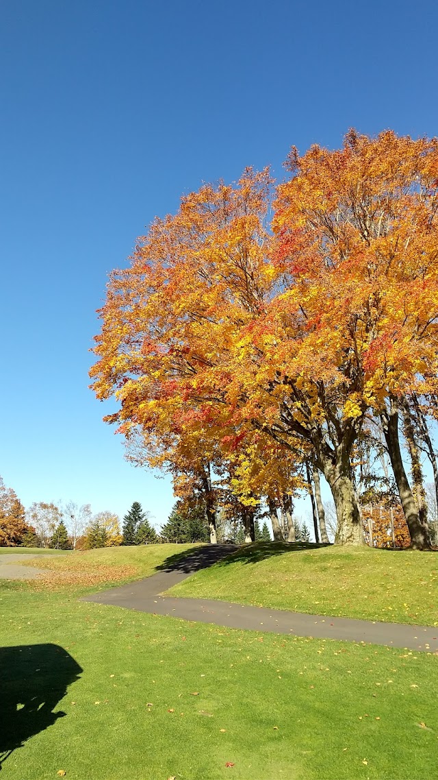 Sapporo Regent Golf Club - Photo 6