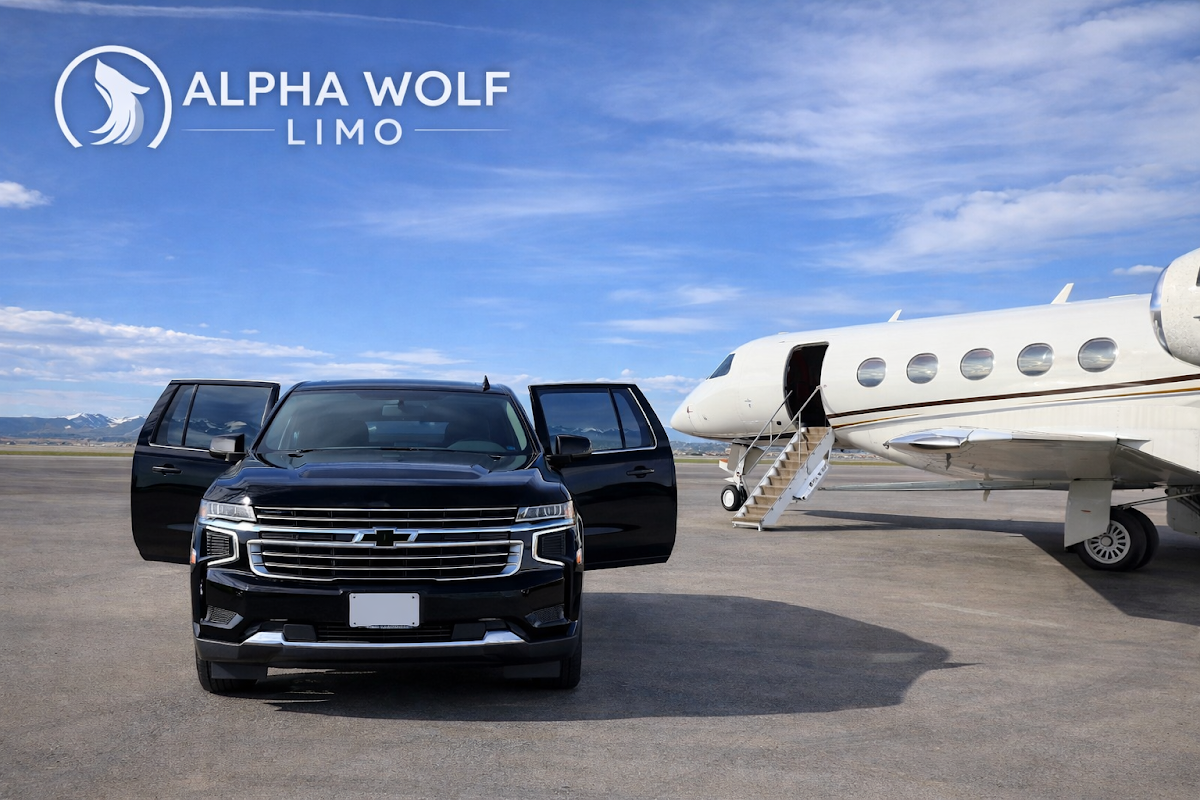 SILVER WOLF LIMO LLC: Google Places image 2