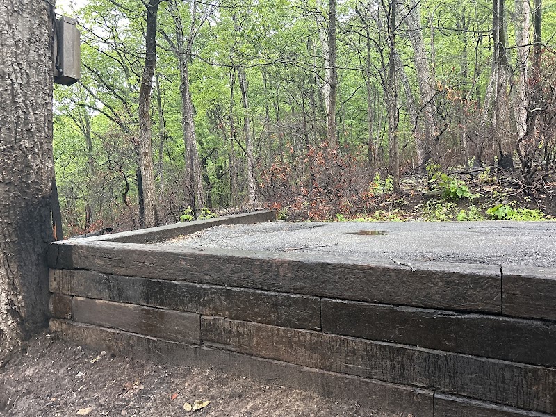 4 Seasons Landscapes & Hardscapes LLC.