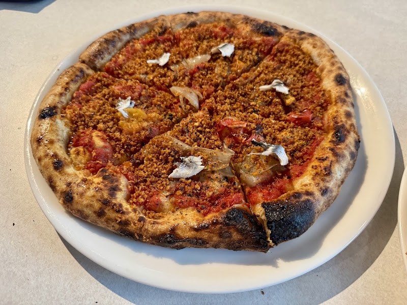 Walrus Rodeo photo 3