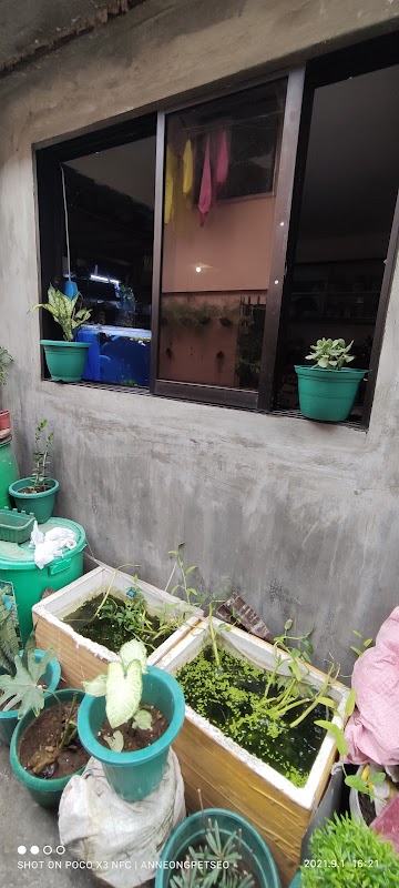 Anneong Petseo