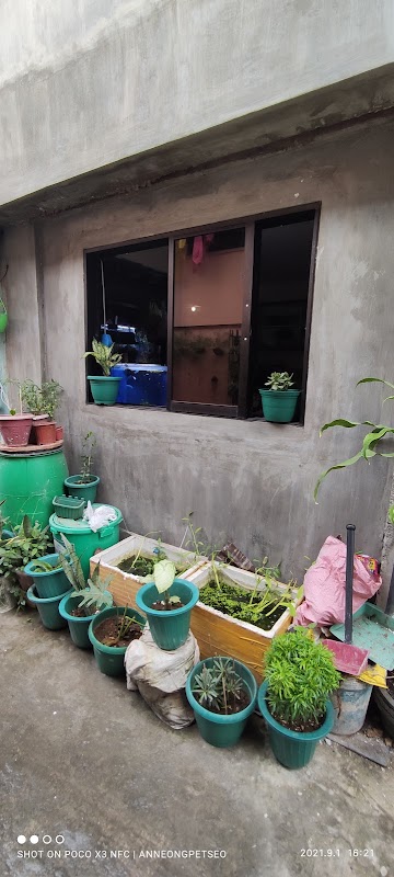 Anneong Petseo