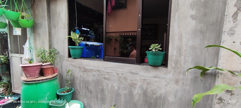 Anneong Petseo