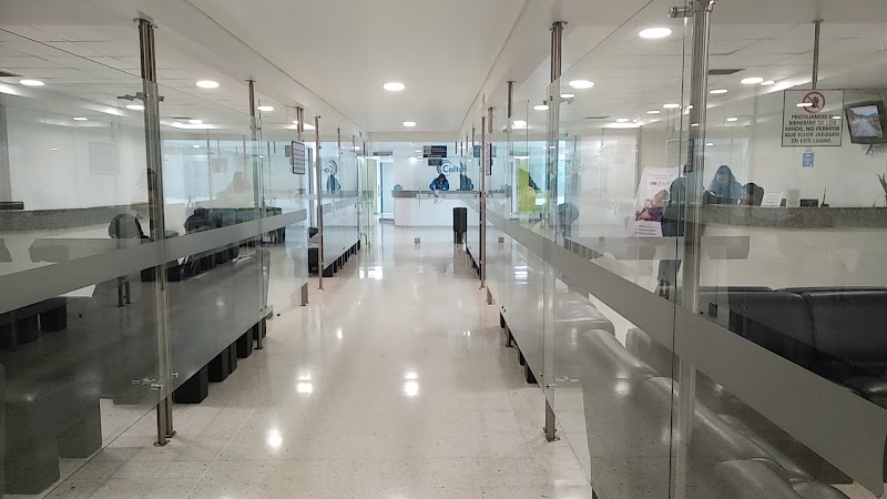 Gallery 5