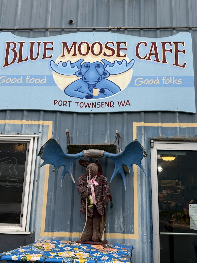 Blue Moose Cafe photo 1