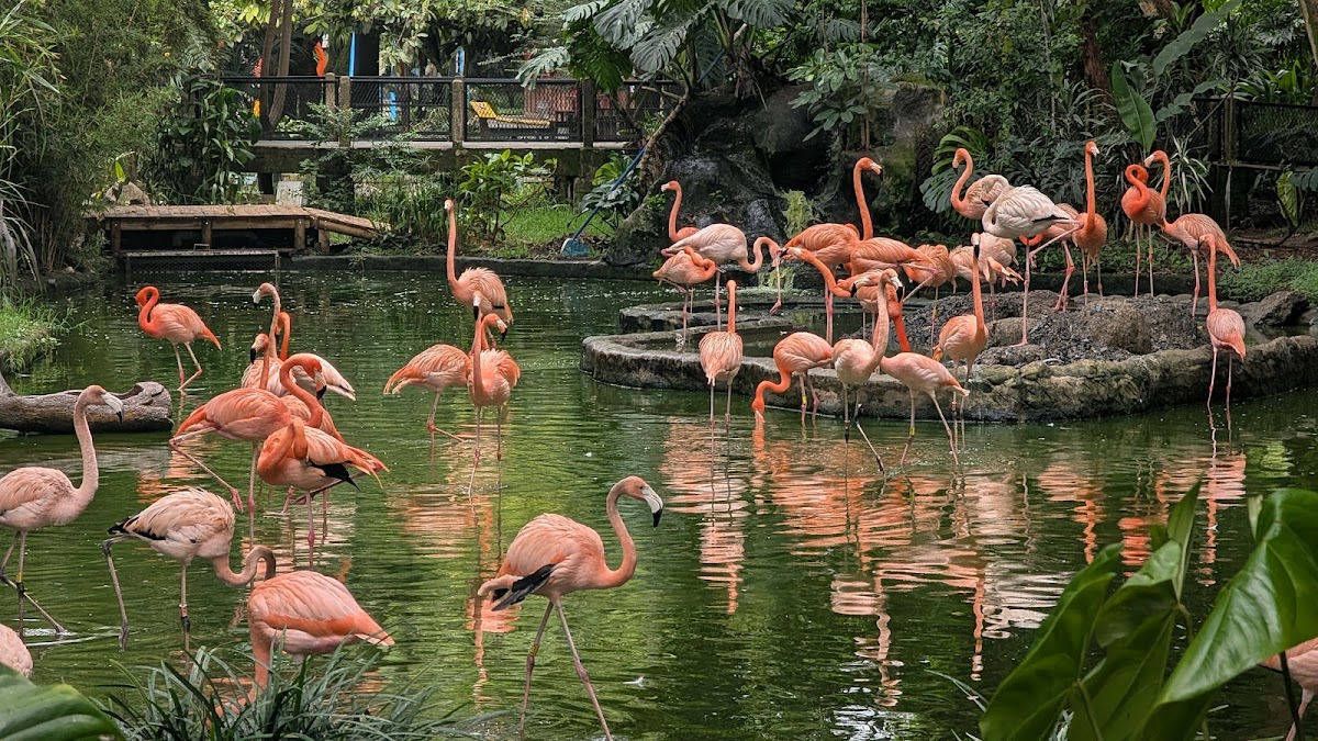 Parque de Conservación (Zoo)