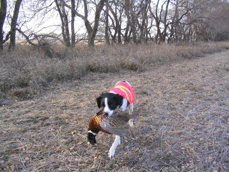 Brinkman Hunting Getaways - Photo 6