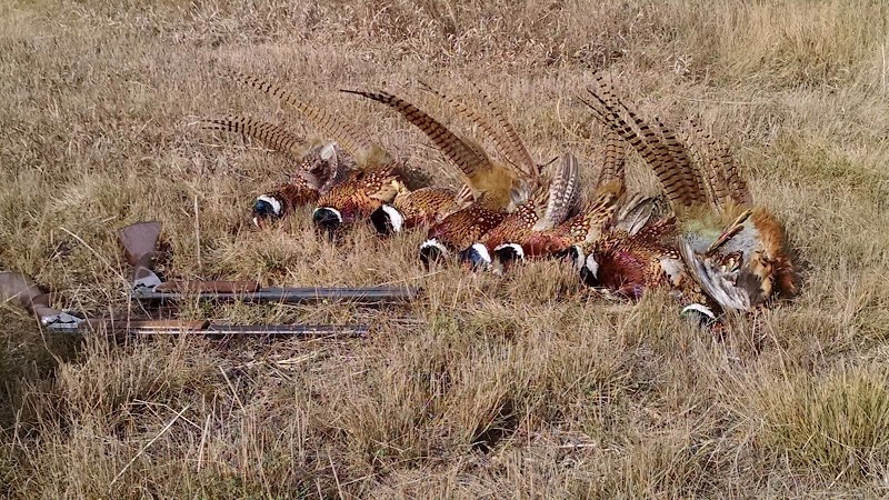 Brinkman Hunting Getaways - Photo 2
